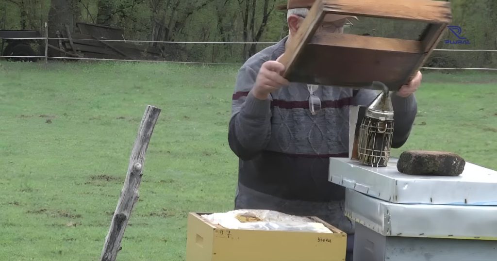 Zaštita pčela u Brčkom: Pčelari i voćari traže rješenja pčelar n