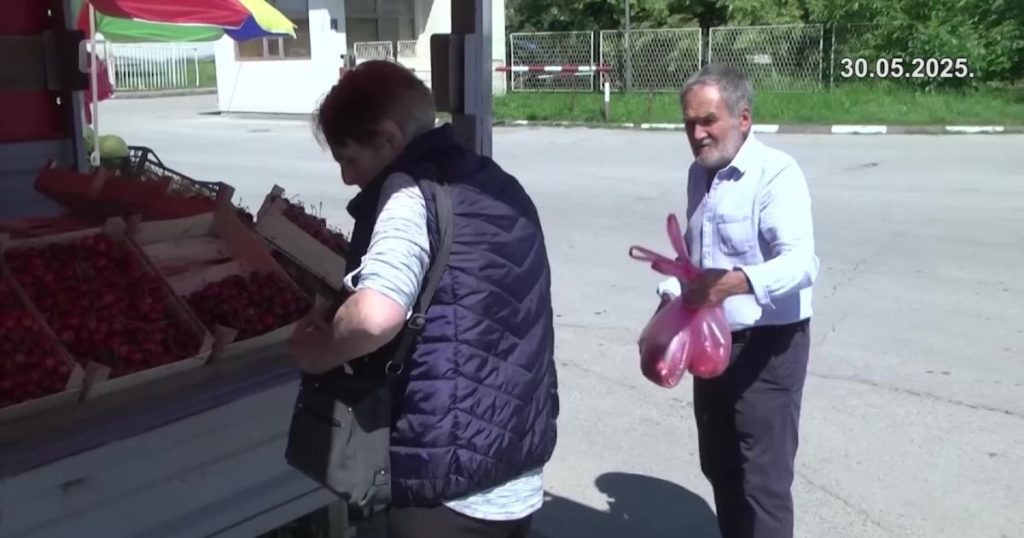 Trešnje postale luksuzno voće u Brčko distriktu trešnje