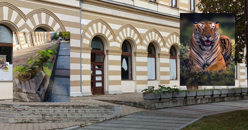 Brčansko – kineski bratski odnosi: Poljoprivredni tigar poljoprivredni tigar brčansko kineski odnosi