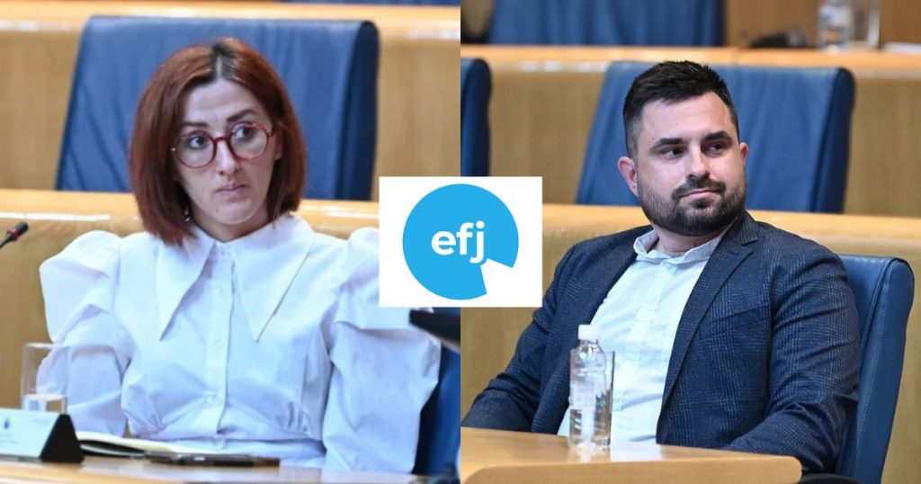 bh novinari efj